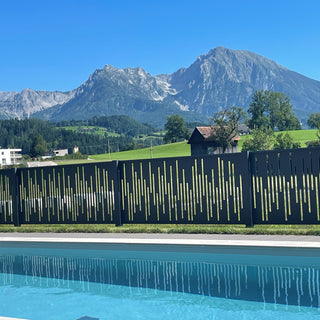 Projektbeispiel: Zaun mit Design DS-58 – Stilvolle Grundstücksbegrenzung mit Alpenblick