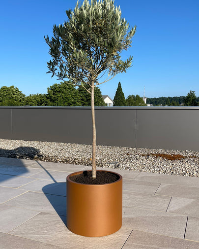 Metal planter ISOLA