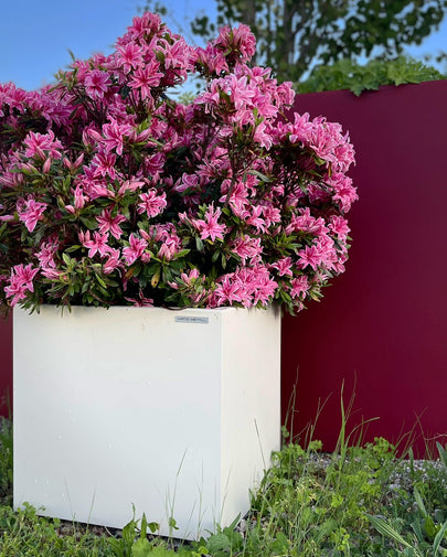Metal Plant Container FLORA STEEL