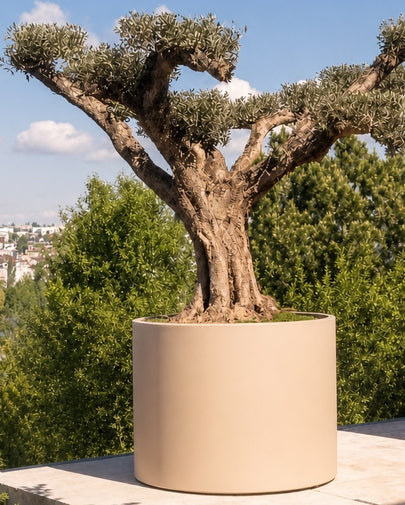 Lagerabverkauf: Aluminium-Pflantrog ISOLA in Farbe Terra Ø 1245mm x Höhe 1012mm